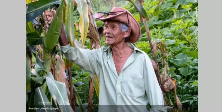 Mandiyuti, donde el agua vuelve a nacer
