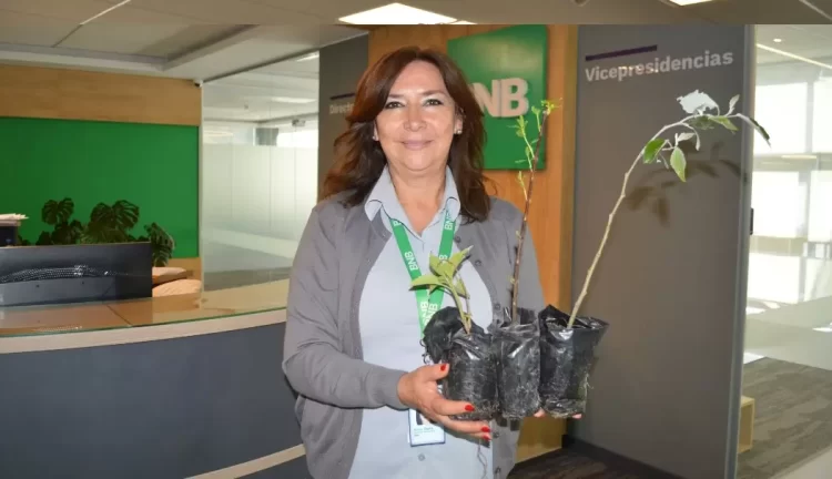 Banco Nacional de Bolivia y R3Foresta reafirman su compromiso con el medio ambiente