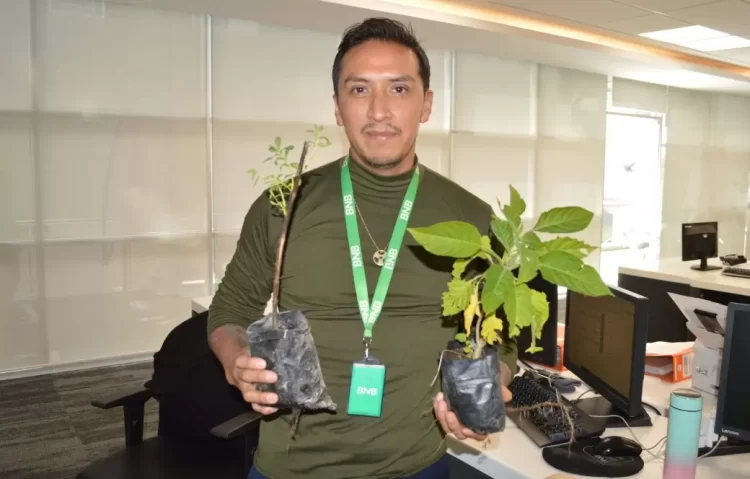Banco Nacional de Bolivia y R3Foresta reafirman su compromiso con el medio ambiente