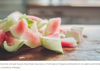 Qué es la gastronomía circular: una revolución sostenible en la industria alimentaria