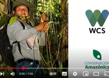 BancoSol renueva alianza estratégica con #WCS y #ACEAA reafirmando su compromiso con el desarrollo sostenible