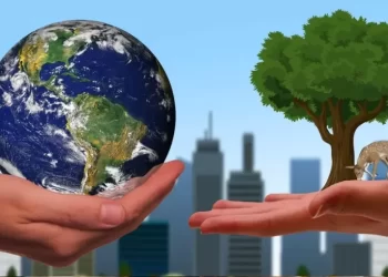 El equilibrio necesario: Las empresas y su compromiso con la sostenibilidad