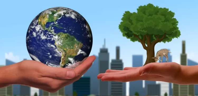 El equilibrio necesario: Las empresas y su compromiso con la sostenibilidad