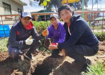 Celebrando el Día del Niño y Niña, Ecofuturo llegó con sus campañas de Ecolimpieza y Forestación hasta el Mirador de Alpacoma
