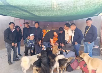Colaboradores de Banco BISA llevan esperanza a los “Peluditos de la Calle” en Oruro