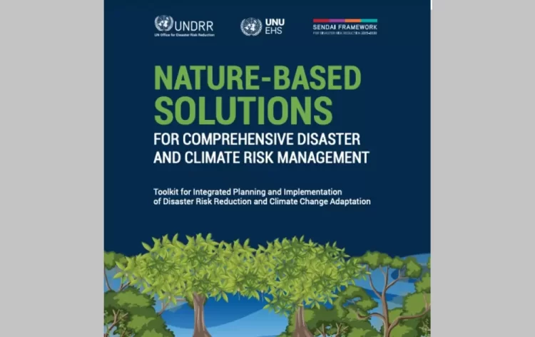 La nueva apuesta de la ONU: enfrentar el cambio climático y los desastres desde la naturaleza