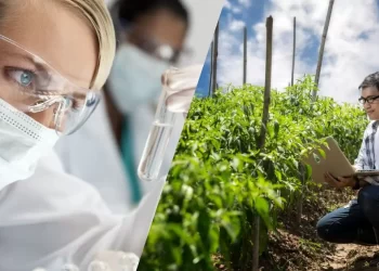 Se extiende la convocatoria de LEGADO 2025: hay tiempo para postularse hasta el 13 de junio.