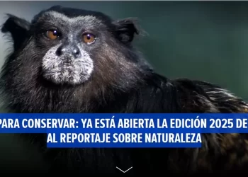 Contar para conservar: ya está abierta la edición 2025 del Premio al Reportaje sobre Naturaleza