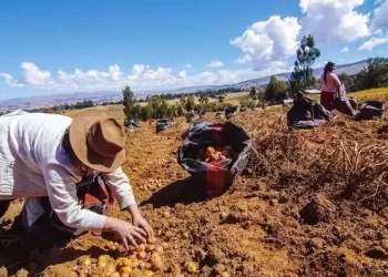 ONU asegura que Bolivia no figura en la lista de países donde la situación de hambre está empeorando 