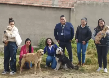 Colaboradores de Banco BISA no se olvidaron de los “Peluditos de la Calle” en La Paz