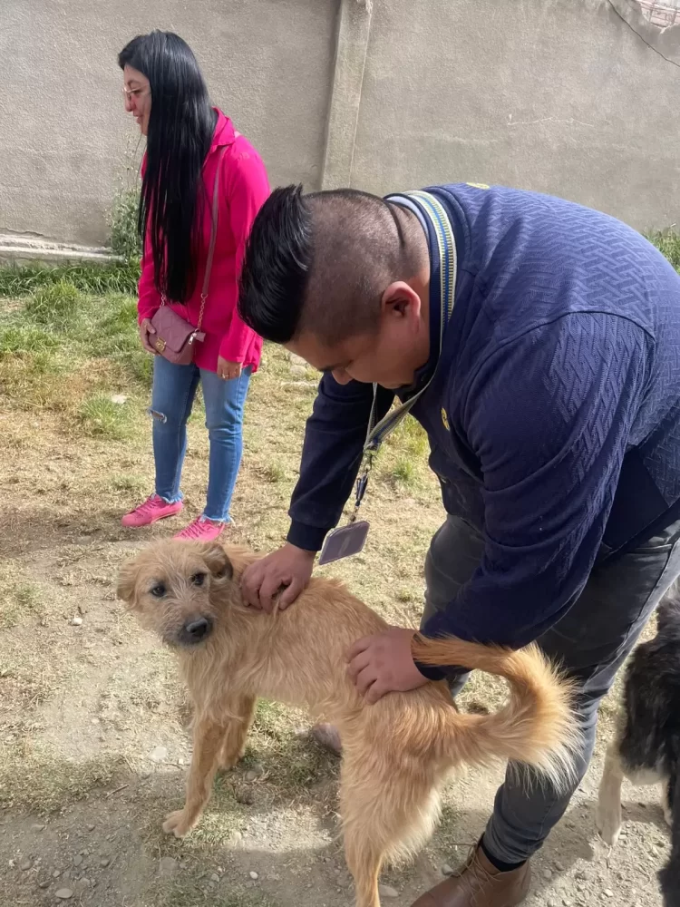 Colaboradores de Banco BISA no se olvidaron de los “Peluditos de la Calle” en La Paz