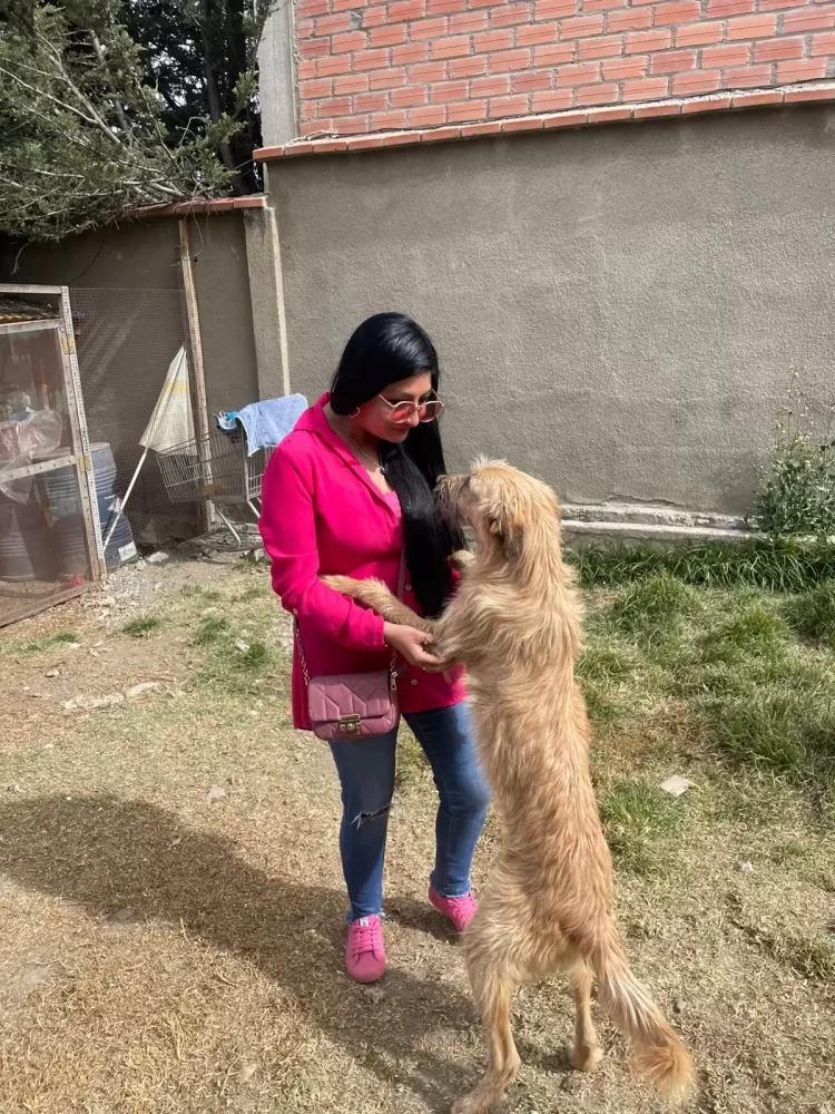 Colaboradores de Banco BISA no se olvidaron de los “Peluditos de la Calle” en La Paz
