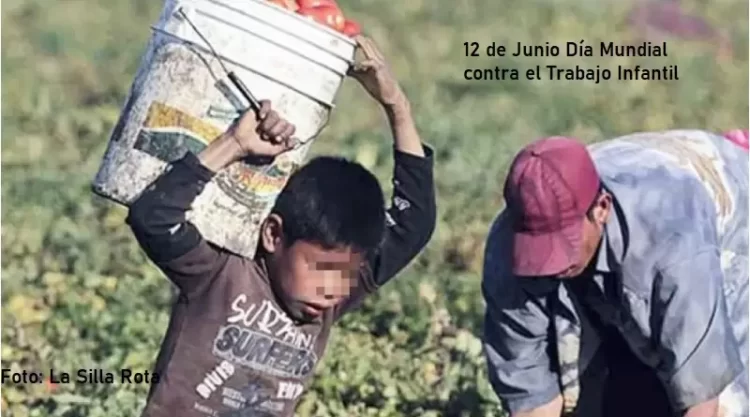 La pandemia de 2019 marca un antes y un después en avances en la lucha contra el trabajo infantil en Bolivia