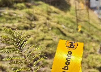 Banco BISA está entre las 10 empresas más responsables con el medioambiente en Bolivia