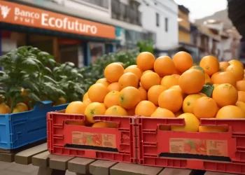 Ecofuturo lanza EcoDPF Valor, una alternativa segura para proteger el Valor de tus ahorros