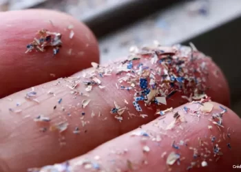 Los nanoplásticos y la crisis silenciosa que podría trastocarlo todo