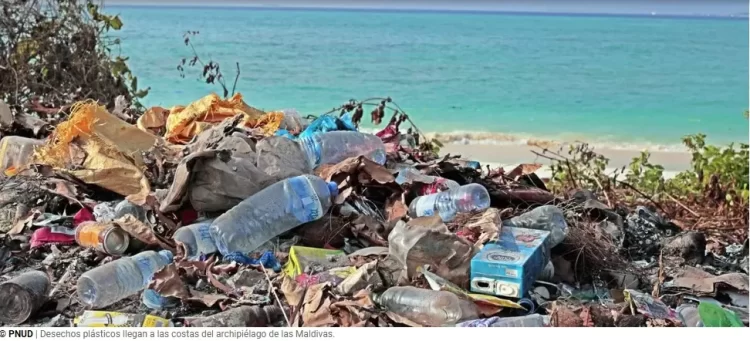 Ginebra: Fracasa el acuerdo, se suspenden las negociaciones sobre el tratado de los plásticos sin alcanzar un consenso