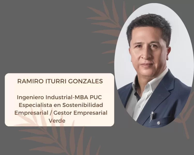 Artículo: Divulgación de la sostenibilidad análisis de materialidad