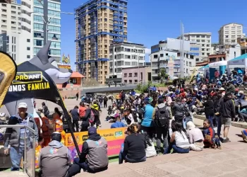 La Paz se suma a la nación ProAni: una jornada solidaria por el bienestar animal