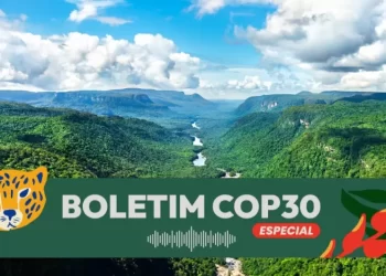 Fondo Bosques Tropicales para Siempre (TFFF) propone un nuevo modelo de financiamiento para la conservación