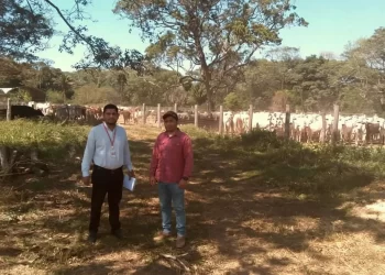 Ecofuturo apuesta por una Santa Cruz productiva y visionaria