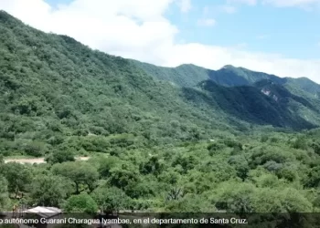 Bolivia avanza para acceder a financiamiento climático por reducción de emisión por deforestación y degradación de bosques