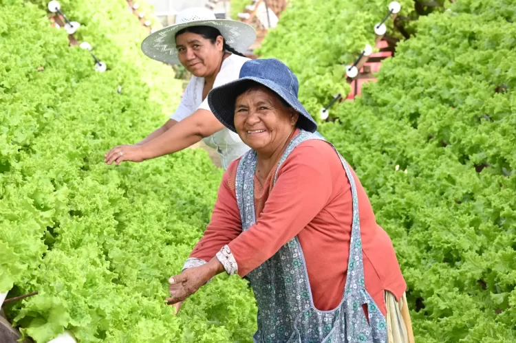 ITACAMBA Cemento: Edición Especial industrias con Impacto 2025. Bicentenario de Bolivia