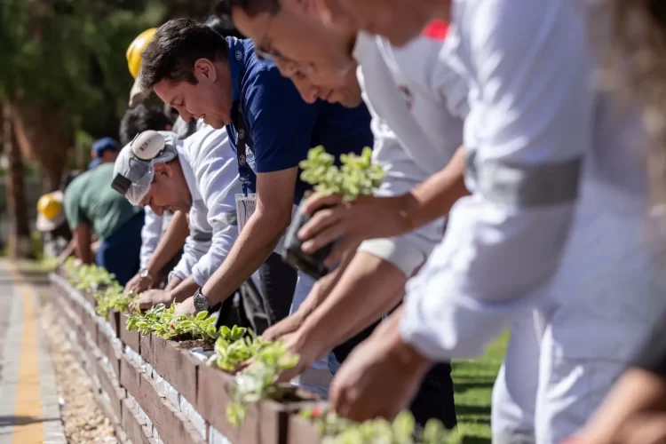 PIL BOLIVIA: Edición Especial industrias con Impacto 2025. Bicentenario de Bolivia