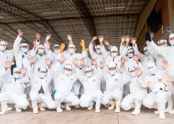 SOFÍA: sostenibilidad y confianza que alimentan futuro