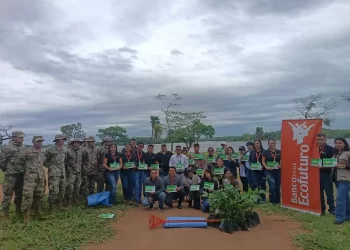 Más de 8.000 kilos de basura recolectados y 800 árboles plantados es el resultado de la Jornada de Limpieza y Forestación de Banco Ecofuturo