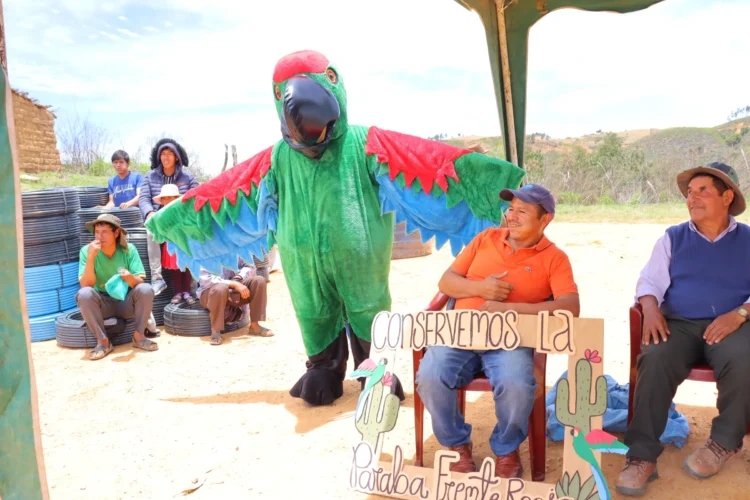 Familias de los valles bolivianos se unen para proteger a la Paraba Frente Roja