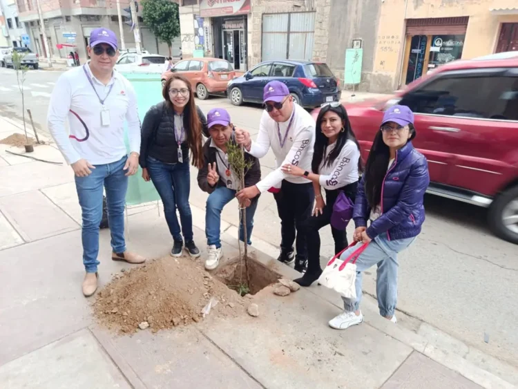 BancoSol junto a Asoban Oruro y el municipio participaron en «Campaña de Arborización»