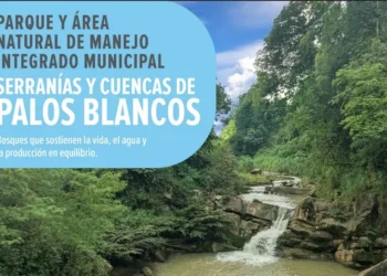 Bolivia suma casi 1 millón de hectáreas a su creciente “mosaico de conservación”