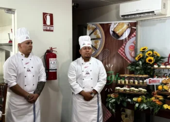 Borrador automático