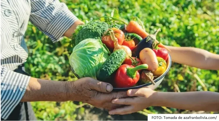 Bolivia e IICA trabajan agenda para impulsar agricultura sostenible