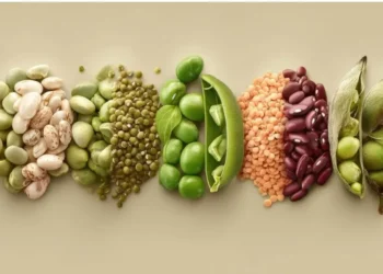 Día Mundial de las Legumbres: cinco motivos para incluir estos alimentos en tu plato