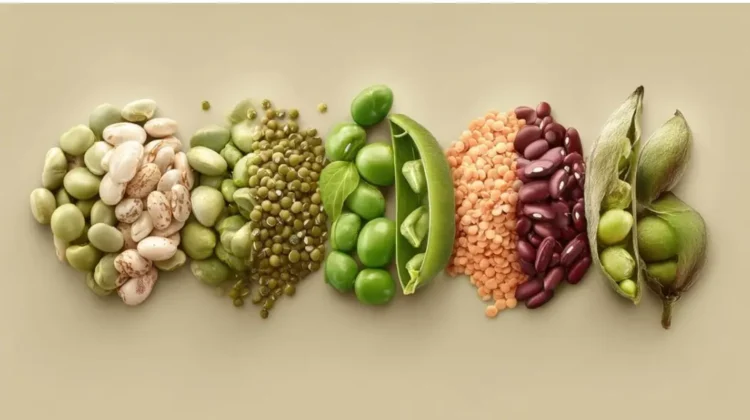 Día Mundial de las Legumbres: cinco motivos para incluir estos alimentos en tu plato