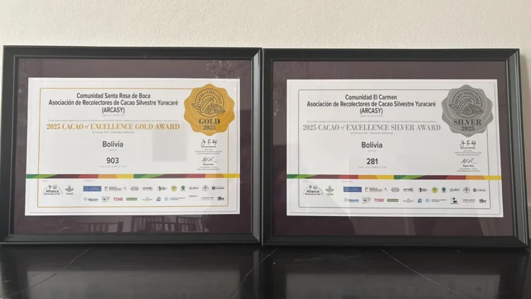 Medallas de oro y plata para el cacao boliviano