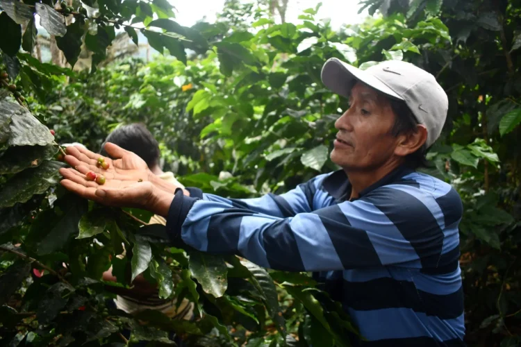Conecta Café genera oportunidades de negocio para el café orgánico