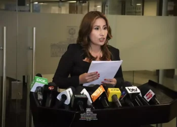 Diputada Rocha promueve la Ley de Diversificación de la Matriz Energética del Transporte