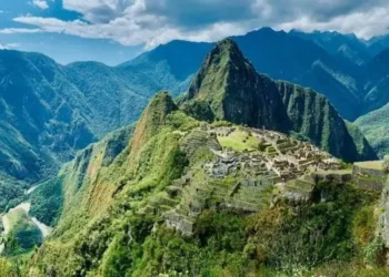 Plantarán un millón de árboles para restaurar ecosistemas de Machu Picchu
