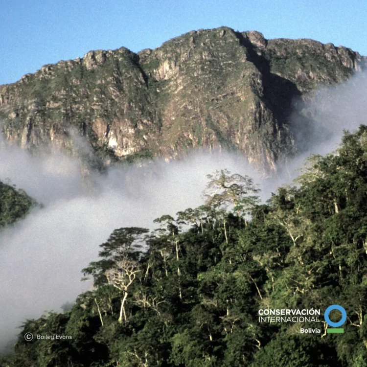 Pilón Lajas, una de las áreas de biodiversidad más importantes del mundo celebra 34 años