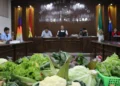 Sacaba aprueba la Ley Municipal de Fomento a la Producción Agroecológica