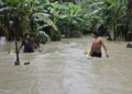 América Latina, en alerta climática: calor extremo, sequías y huracanes récord