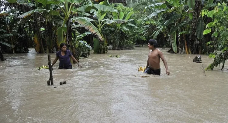 América Latina, en alerta climática: calor extremo, sequías y huracanes récord