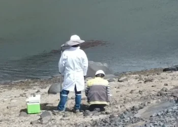 Fallo del Tribunal Agroambiental ratifica que Manquiri contaminó fuentes hídricas vitales
