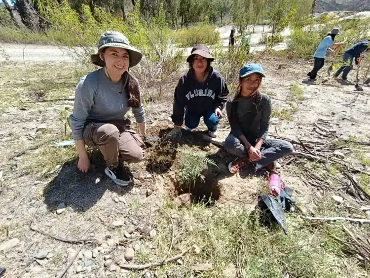 Más de 1.300 voluntarios plantaron arbolitos en bosques de La Paz