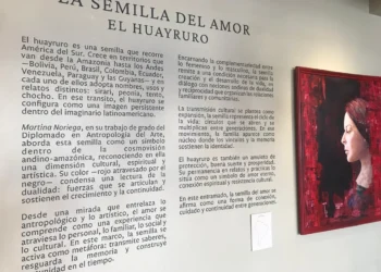 Daniela Mérida Gallery y Bagó presentan «Mi territorio», de la artista Martina Noriega