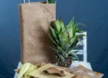 Emprendedor de la UMSA transforma chalas de choclo y hojas de brócoli en empaques ecológicos