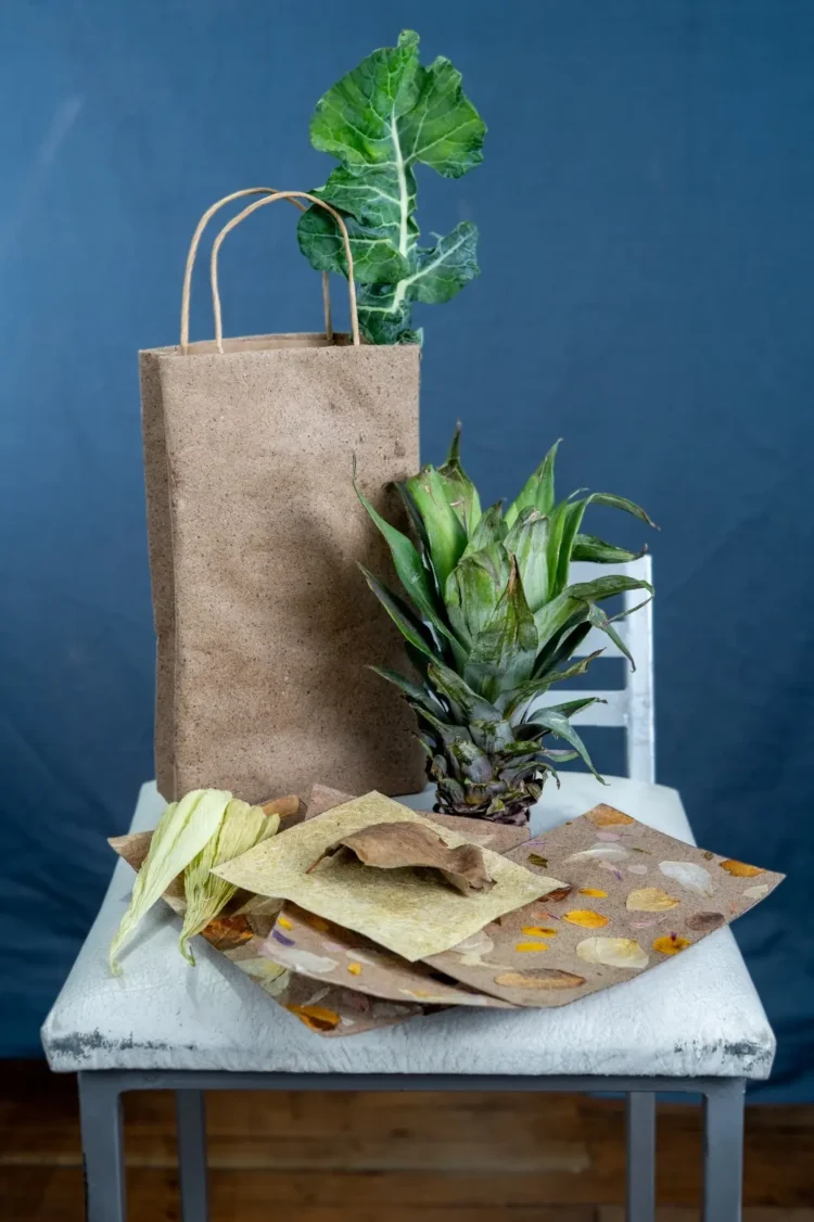 Emprendedor de la UMSA transforma chalas de choclo y hojas de brócoli en empaques ecológicos
